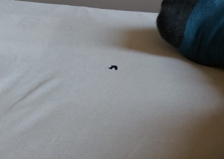 De mot in mijn lijf en medewerking&nbsp;Masterproef