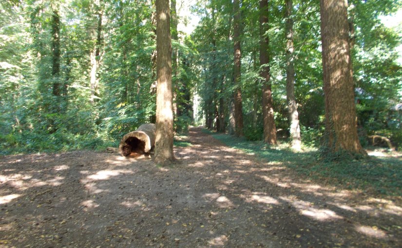 Mijn verrassende zomerzoektocht.