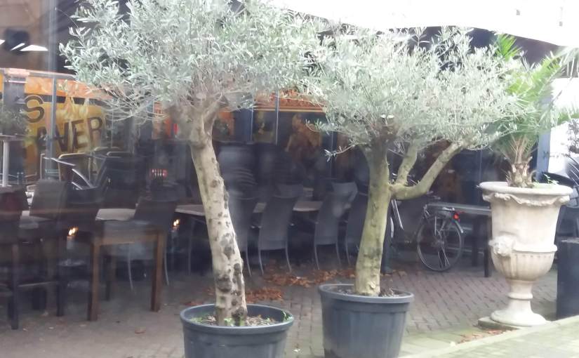 Komkommertijd in de&nbsp;transitzone.