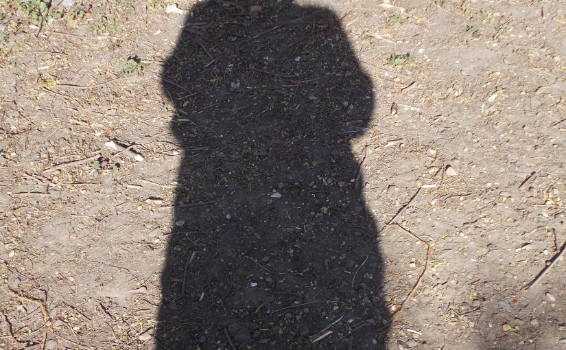 De schaduwen worden&nbsp;langer