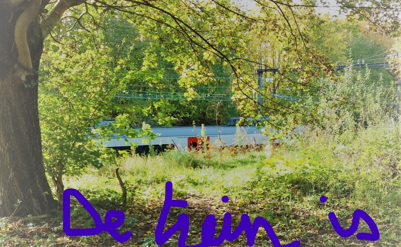 Parole parole … voor wie woorden lezen&nbsp;wil.