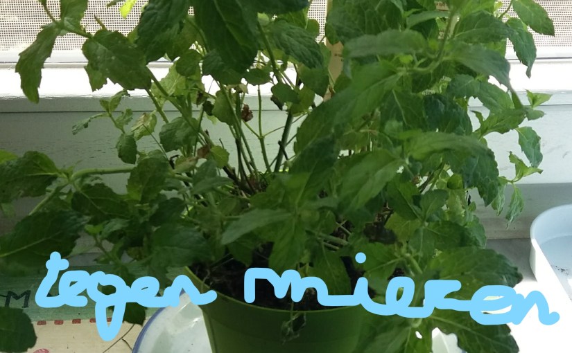 Iemand anders’ woord – zesde&nbsp;woord