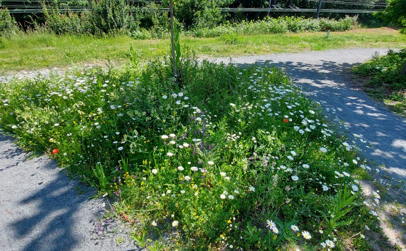 Intussen of tussenin?