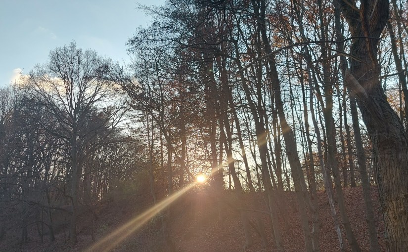 Voor wie licht&nbsp;wil