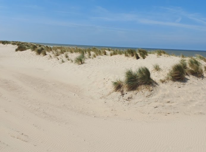 Eenvoudige poëzietechnieken 16