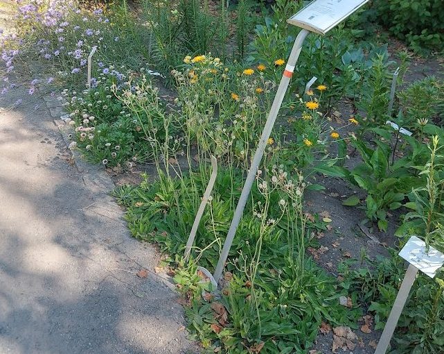 De tuin der poëten (gedicht van Peter Holvoet-Hanssen)