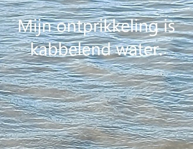 Boekenchallenge – Ik heb ADHD en daar komen ze nu pas mee – Nele&nbsp;Reymen